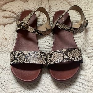 Mia animal print sandals size 8